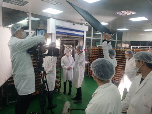 烏魯木齊短片拍攝公司 專業(yè)影像服務(wù)與商務(wù)秘書支持的卓越優(yōu)勢(shì)