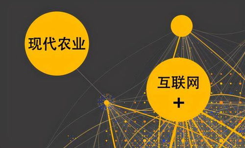 農(nóng)業(yè)與互聯(lián)網(wǎng)交錯(cuò) 社交電商為農(nóng)村經(jīng)濟(jì)發(fā)展賦能與網(wǎng)絡(luò)技術(shù)領(lǐng)域的拓展